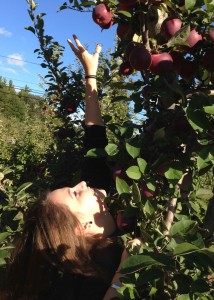 Apple picking in Phillipston.  Sure beats POS systems.