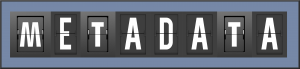 You shouldn't be worried about what people see.  Metadata is the data about the data.